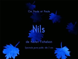 Affiche de Nils
