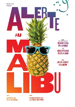 Affiche de Alerte au Malibu