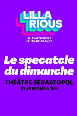 Affiche de Festival Lillarious : Damien Gillard dans Rude