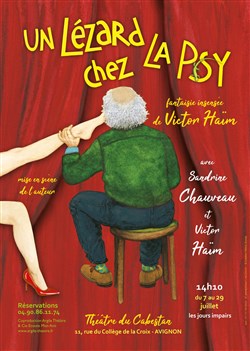 Affiche de Un Lézard chez la psy