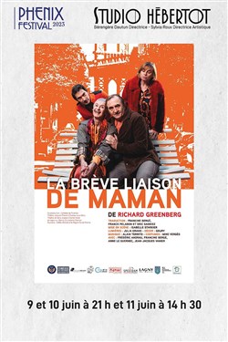Affiche de La brève liaison de maman