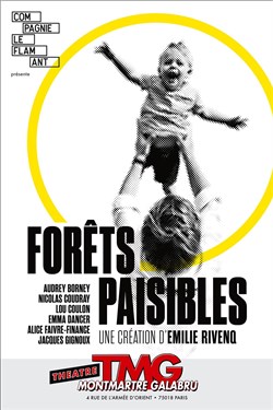 Affiche de Forêts paisibles