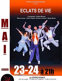 Affiche de Eclats de Vies