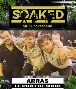 Affiche de Soaked : Tribute Muse