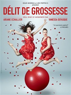 Affiche de Délit de grossesse