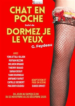 Affiche de Chat en poche / Dormez je le veux