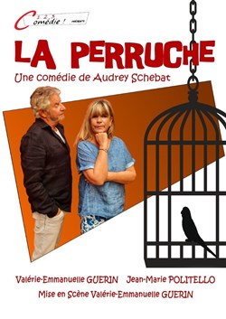 Affiche de La perruche