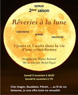 Affiche de Rêveries à la lune