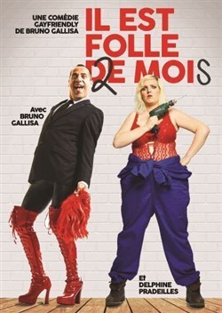 Affiche de Il est folle 2 mois