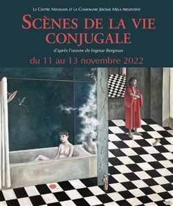 Affiche de Scènes de la vie conjugale