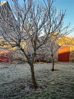 Affiche de Les Trois soeurs d'Anton Tchekhov
