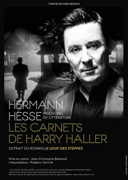 Affiche de Les Carnets de Harry Haller