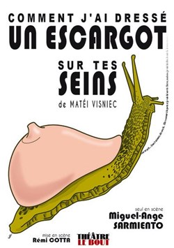 Affiche de Comment j'ai dressé un escargot sur tes seins