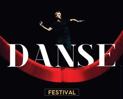 Affiche de Spectacle au Château Royal de Blois