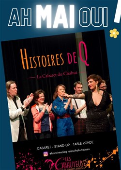 Affiche de Histoires de Q