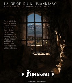 Affiche de La neige du Kilimandjaro