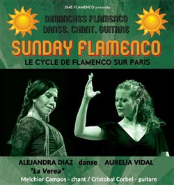 Affiche de Sunday Flamenco