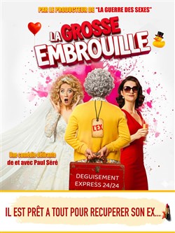Affiche de La grosse embrouille