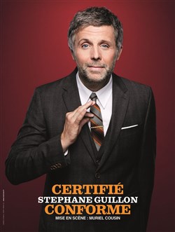 Affiche de Stéphane Guillon dans Certifié conforme