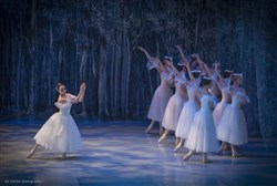 Affiche de Giselle