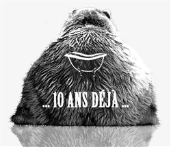 Affiche de Impro : Les 10 ans des Ours !