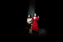 Affiche de Birds on a wire