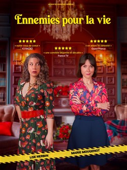 Affiche de Ennemies pour la vie