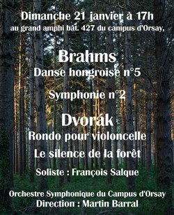 Affiche de Brahms et Dvorak