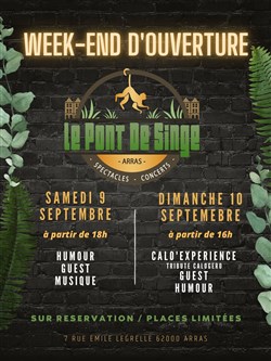 Affiche de Ouverture Le pont de singe