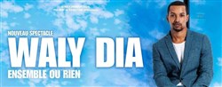 Affiche de Waly Dia dans ensemble ou rien
