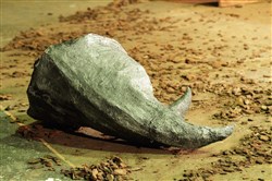 Affiche de Rhinocéros, une adaptation bilingue (anglais-français)