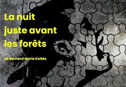 Affiche de La nuit juste avant les forêts