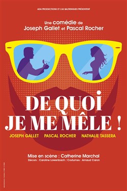 Affiche de De quoi je me mêle !