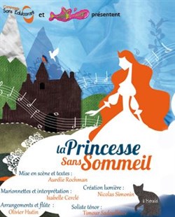 Affiche de La princesse sans sommeil