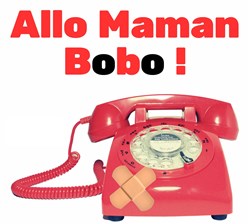 Affiche de Allo maman bobo