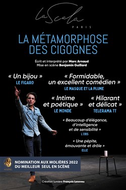 Affiche de La métamorphose des cigognes