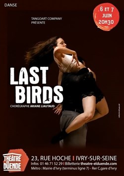 Affiche de Last birds