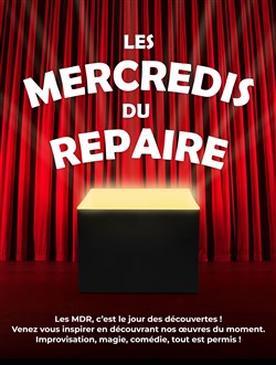 Affiche de Les Mercredis du Repaire