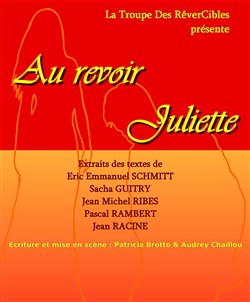 Affiche de Au revoir Juliette