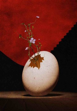 Affiche de Le Petit Cirque | avec Pomme