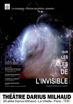 Affiche de Sur les ailes de l'invisible