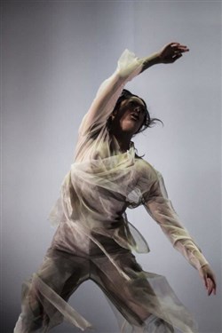 Affiche de Dancenorth Australia | Dust