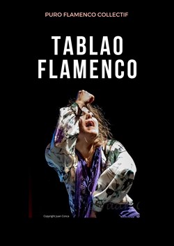 Affiche de Puro Flamenco