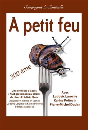 Affiche de A petit feu