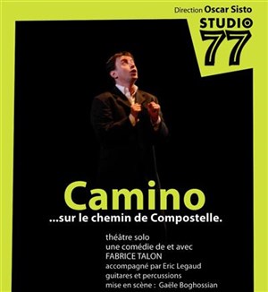 Affiche de Camino