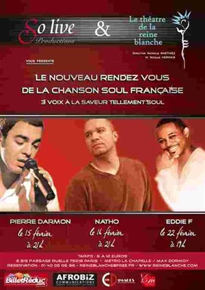 Affiche de Pierre Darmon en concert