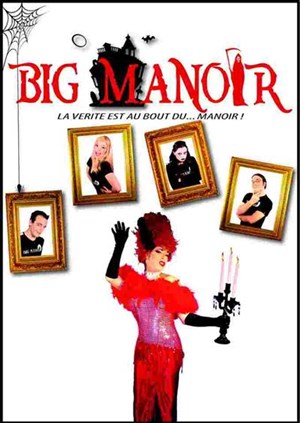 Affiche de Big Manoir