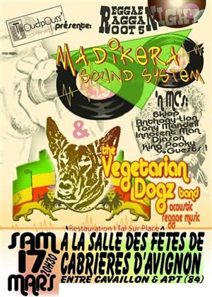 Affiche de Reggae ragga roots story
