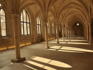 Affiche de Visite guidée : Paris médiéval | Par Emmanuel Fontaine