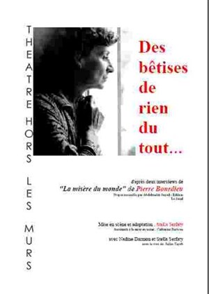 Affiche de Des bêtises de rien du tout...